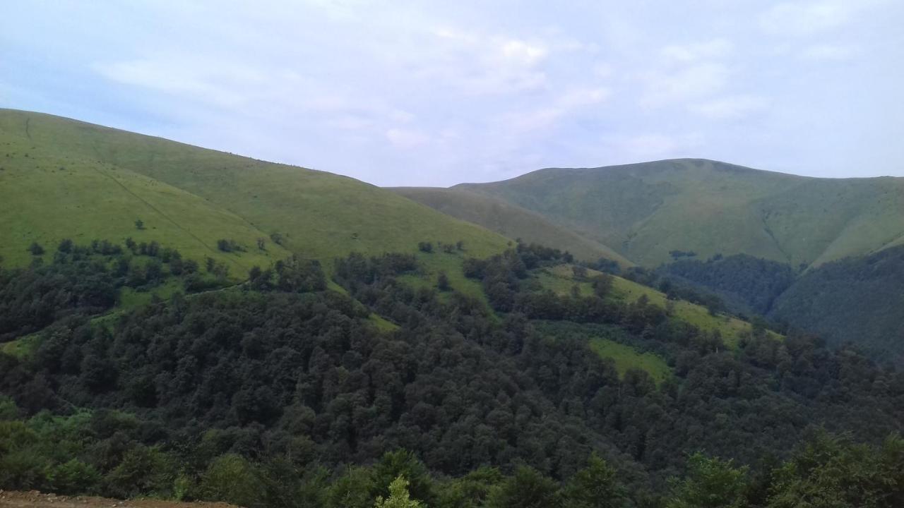 Затишний Будиночок Bukovets Εξωτερικό φωτογραφία