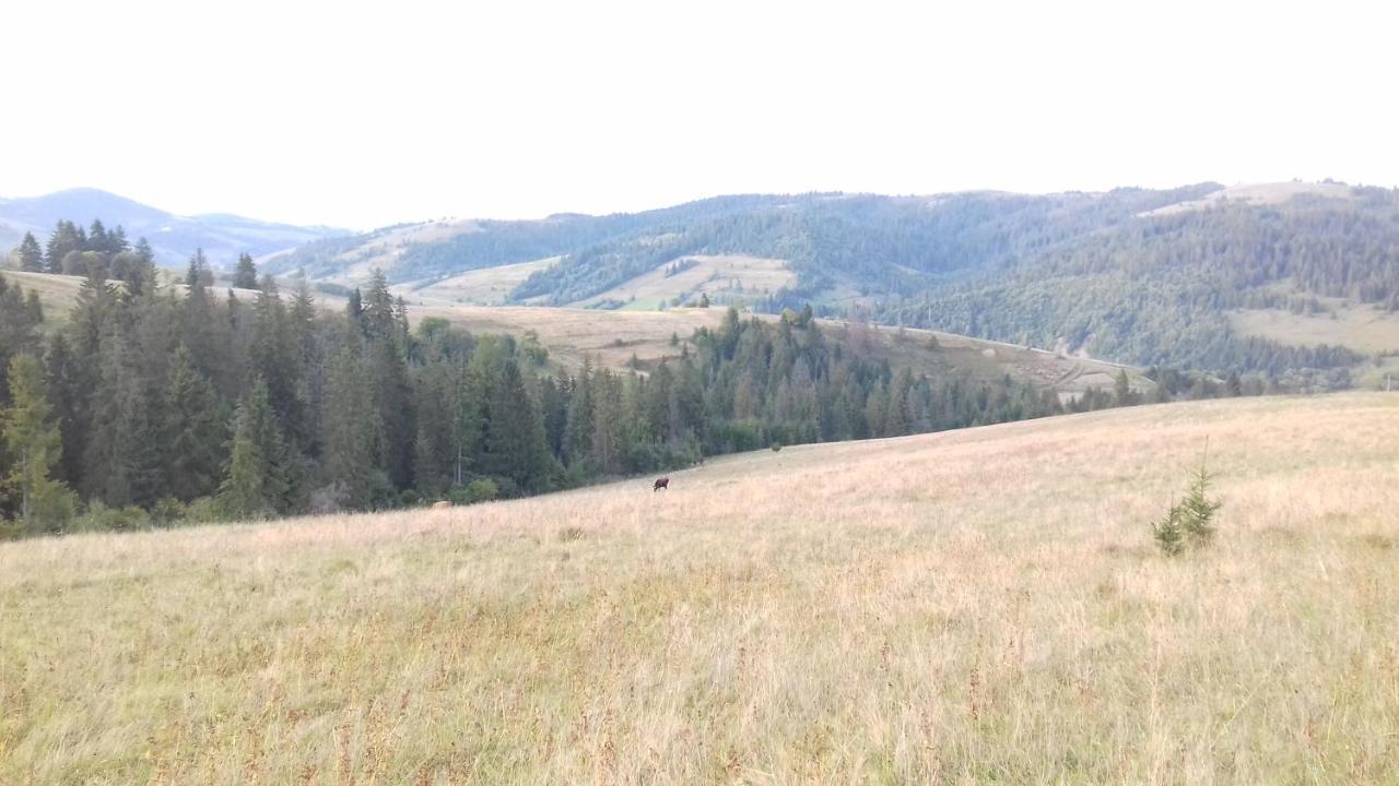 Затишний Будиночок Bukovets Εξωτερικό φωτογραφία